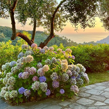 Incanto Vernazza Zewnętrze zdjęcie