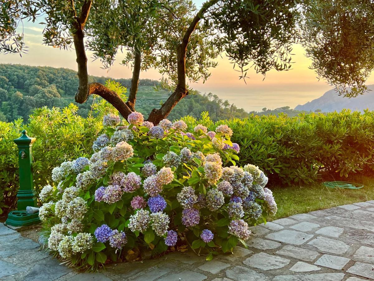 Incanto Vernazza Zewnętrze zdjęcie